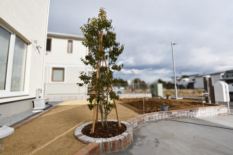 成長を楽しむシンボルツリー